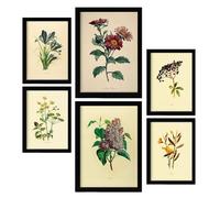Nacnic Set de 6 Flores oscuras Posters. En Impresiones vintage. Estampados decorativos estéticos para su sala de estar, dormitorio, hogar Tamaños A4 y A3