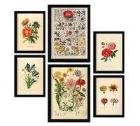 Nacnic Set de 6 Flores Posters. En Impresiones vintage. Estampados decorativos estéticos para su sala de estar, dormitorio, hogar Tamaños A4 y A3