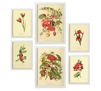 Nacnic Set de 6 Flores rojas Posters. En Impresiones vintage. Cuadros decorativos estéticos para su sala de estar, dormitorio, hogar Tamaños A4 y A3 con marcos blancos