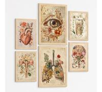 Nacnic Set De 6 Láminas Anatómicas Clásicas Para Decorar Pared, Arte Médico Botánico Con Ojo, Corazón, Diente, Útero, Pulmones Y Cerebro, Manuscrito Antiguo, Sin Marco A3 & A4 Marco Negro