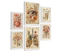 Nacnic Set De 6 Láminas Anatómicas Clásicas Para Decorar Pared, Arte Médico Botánico Con Ojo, Corazón, Diente, Útero, Pulmones Y Cerebro, Manuscrito Antiguo, Sin Marco A3 & A4 Marco Blanco