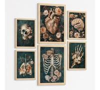 Nacnic Set De 6 Láminas Anatómicas Elegantes Decorar Médico Botánico Con Cráneo, Corazón, Cerebro, Pulmones, Esqueleto Y Mano Ósea, Fondo Verde Petróleo, Flores Beige Tamaño A3 & A4 Marco Negro