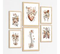 Nacnic Set De 6 Láminas De Anatomía Botánica Vintage, Pósters Médicos Con Corazón, Pulmones, Columna, Pelvis Y Costillas, Flores Beige Terracota Y Tonos Tierra, Tamaño A3 & A4 Marco Negro