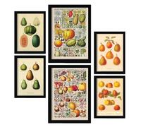 Nacnic Set de 6 Mezcla Posters. En Impresiones vintage. Estampados decorativos estéticos para su sala de estar, dormitorio, hogar Tamaños A4 y A3