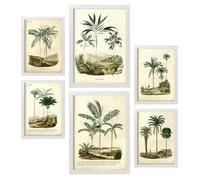 Nacnic Set de 6 Palmeras Posters. En Impresiones vintage. Cuadros decorativos estéticos para su sala de estar, dormitorio, hogar Tamaños A4 y A3 con marcos blancos