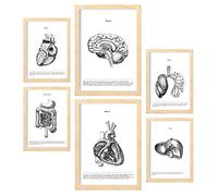Nacnic Set de 6 Posters de Órganos internos. Colección de láminas con estética Collage para la decoración de Interiores. Tamaños A3 y A4. con Marco Color Madera.