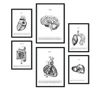 Nacnic Set de 6 posters de Órganos internos. Colección de láminas con estética collage para la decoración de interiores. Tamaños A3 y A4. Sin marco.
