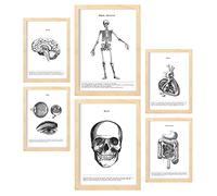 Nacnic Set de 6 pósters de Órganos y Huesos. Colección de láminas con estética Collage para la decoración de Interiores. Tamaños A3 y A4. Marco de Madera Clara.