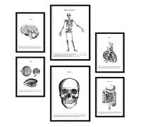 Nacnic Set de 6 pósters de Órganos y Huesos. Colección de láminas con estética Collage para la decoración de Interiores. Tamaños A3 y A4. Marco Negro.