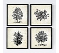 Nacnic Set de cuatro láminas de arboles. Arboles frutales en tamaño 20x20 cm, fondo papel antiguo vintage Poster papel 250 gr y tintas de alta calidad. Con Marco