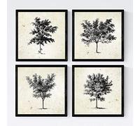 Nacnic Set de cuatro láminas de arboles. Arboles medianos en tamaño 20x20 cm, fondo papel antiguo vintage. Sin Marco