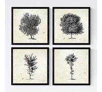 Nacnic Set de cuatro láminas de arboles. Arboles troncos variados en tamaño 20x20 cm, fondo papel antiguo vintage Poster papel 250 gr y tintas de Con Marco