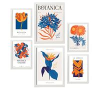 Nacnic Set of 6 Pósters de Flores. Pétalos Naranjas. Láminas de Naturaleza y Botánica para el Diseño y Decoración de Interiores. Tamaños A3 & A4, Marcos Blancos.
