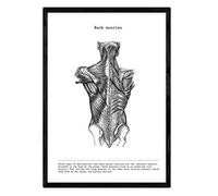 Nacnic Stampa artistica in Bianco e Nero, immagini del Corpo umano muscoli Della colonna vertebrale. Biologia con dettaglio. Medicina generale- Medico ospedali. Scienze. Poster di anatomia.