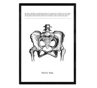 Nacnic Stampa artistica Moderna di anatomia in Bianco e Nero con immagini del Corpo umano. Biologia con dettaglio bacino, OSSA e scheletro. Scienze. Medicina generale- Medico ospedali.