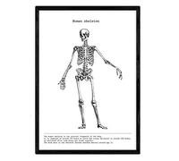 Nacnic Stampa artistica Vintage scheletro umano in Bianco e Nero, immagini del Corpo umano. Biologia con dettaglio di OSSA. scienza e anatomia. Stampato su Carta da 250 Grammi di Alta Qualità.
