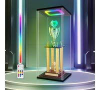Naconmlet Vitrina acrílica con luz LED, vitrina transparente a prueba de polvo para coleccionables, figuras de acción y trofeos, caja de exhibición sin costuras para modelos (11 x 11 x 25.2 pulgadas)