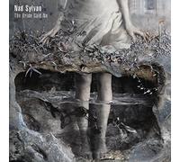 Nad Sylvan - The Bride Said No