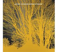 Nada Surf The Stars Are Indifferent to Astronomy (Vinyl) 12" Album