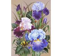 NAHUIGOOD Easy Coun ted - Kit de punto de cruz preimpreso para adultos, 11 quilates,11 puntos, patrones de punto de cruz, kits de bordado para adultos principiantes,Plantas y flores 11CT40x50cm