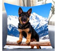 NAHUIGOOD Punto De Cruz Kit Montaña De Nieve, Pastor Alemán 45X45Cm Manualidades Adultos Decoracion Bordar Kit Principiantes Completo Diy Bordado Creativo Regalo，Cross Stitch