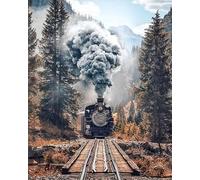NAHUIGOOD Punto De Cruz Principiantes Tren 11Ct40X50Cm Punto De Cruz Kit Punto De Cruz Punto De Cruz Niños Kit De Bordado Punto De Cruz Con Animales