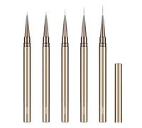 Nail Art Pen Nail Art Liner Nail Paint Pen Profesional Ergonómico Ligero Durable Fácil de usar Pincel para dibujar uñas para salones de uñas en casa y principiantes Metal Paquete (5 uds.)