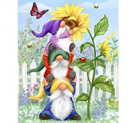 NAIMOER Kits de pintura de diamantes de gnomos para adultos, kits de pintura de diamantes de taladro completo, kit de pintura de diamantes de jardín 5D gnomo diamond painting 30x40cm