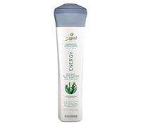 NAISSANT Shampoo Energy | Fortalece el crecimiento capilar | Elimina el exceso de grasa | Glucógeno marino, Complejo B, Aminoácidos. 300mL - 10.1 FL Oz.
