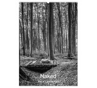 Naked: Akt + Landschaft (Wandkalender 2026 DIN A2 hoch), CALVENDO Monatskalender: Stimmungsvoller Fine-Art Aktbilder von Frauen in der Natur.