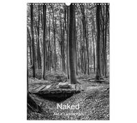 Naked: Akt + Landschaft (Wandkalender 2026 DIN A3 hoch), CALVENDO Monatskalender: Stimmungsvoller Fine-Art Aktbilder von Frauen in der Natur.
