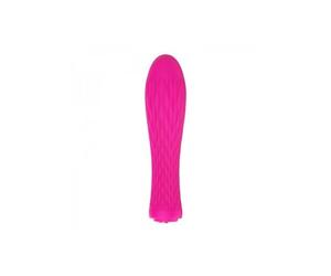 Nalone Ian Mini Vibrador Rosa 1ud