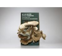 NAM - Kit de Cultivo de Setas Ostras - Cultivo Casero Sostenible con Residuos de Café, Hongos Incubados y Listos para Cosechar, Champiñones Frescos, Mini Huerto Urbano Fácil y Ecológico