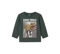 NAME IT Chicos Nmmjewel Jurassic Nreg LS Top Noos Sky, Topiario de jardín, 104