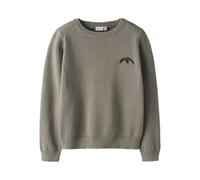 NAME IT Nkmbrady LS Loose Knit Box, Color Caqui Vintage., 122-128