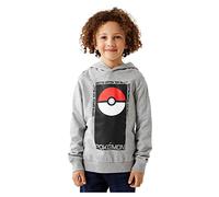 NAME IT Nkmjalte Pokemon Sweat WH BRU Noos Bfu Sudadera, Gris, 122-128 para Niños