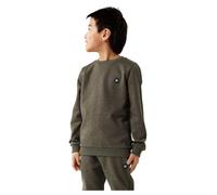 Name IT Nkmvimo LS Sweat BRU Sudadera, Verde grisáceo, Tamaño de la Cintura:100-105 cm para Niños