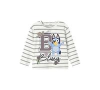 NAME IT Nmfsiska Bluey LS Nreg Top Box Sky para Niñas