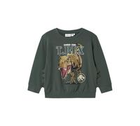 NAME IT Nmmjaba Jurassic Nreg Sweat UNB Sky, Topiario de jardín, 104