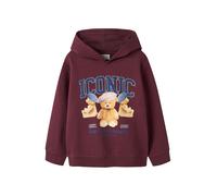 NAME IT Nkfrycca LS Nreg Sweat WH BRU Box, Granate, 122-128