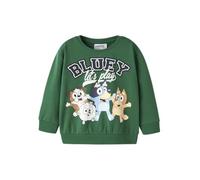 Name IT Sudadera para niños Nmmjust Bluey Nreg UNB Noos Sky Nmmjust Bluey Nreg Sweat UNB Noos Sky (1 Unidad), Verde, 104