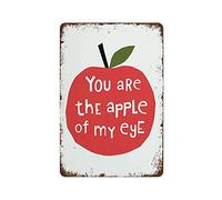 NAMEY Divertido letrero de metal de estaño vintage con impresión de la manzana de mi ojo, regalo de San Valentín para él, manzana para niños, 12 x 8 pulgadas, garaje, hombre, cueva, retro, pósteres