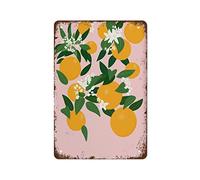 NAMEY Impresión de naranjas botánicas con estampado de frutas y cocina, impresión botánica de baño, arte de pared colorido, arte de pared rosa, divertido letrero de metal vintage, decoración de