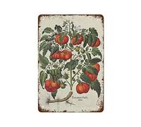 NAMEY Póster de tomate, arte botánico de vegetales, impresión botánica, impresión vintage de enciclopedia de plantas de tomate, divertido letrero de metal vintage para dormitorio, sala de estar