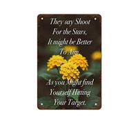 NAMEY Póster motivacional enmarcado con texto en inglés "They Say Shoot for The Stars. It Might Be Better to Aim As You Might Find Yourself Hitting Your Target". Divertido letrero de metal vintage