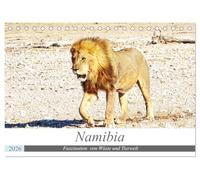 Namibia, Faszination Wüste und Tierwelt (Tischkalender 2026 DIN A5 quer), CALVENDO Monatskalender: Safari durch die Wüste Namibias