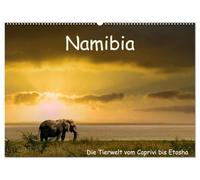 Namibia - La vida silvestre desde Caprivi hasta Etosha (calendario de pared 2026 DIN A2 horizontal), calendario mensual CALVENDO