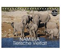 Namibia - Tierische Vielfalt (Planer) (Tischkalender 2026 DIN A5 quer), CALVENDO Monatskalender: Planer mit der Vielfalt der Tierwelt Namibias von den ganz kleinen bis zu den ganz großen Tieren.