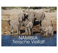 Namibia - Tierische Vielfalt (Wandkalender 2026 DIN A2 quer), CALVENDO Monatskalender: Kalender mit der Vielfalt der Tierwelt Namibias von den ganz kleinen bis zu den ganz großen Tieren.