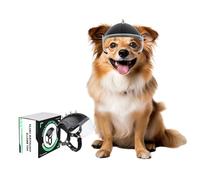 NAMSAN Casco de moto para perros con gafas de protección UV para perros pequeños con visera (con remaches)